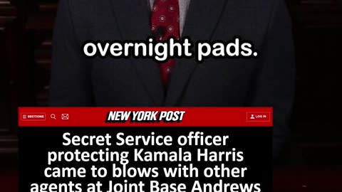 Secret Service Officer for Kamala Harris Fought Other Agents at Joint Base Andrews