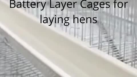 Labor Saving Kenya Poultry Farm Chicken Battery Layer Cages for laying hens