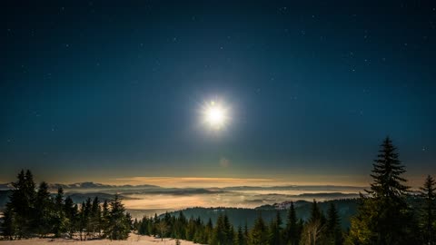 Brilliant moon on a brilliant sky at a colder time of year woods