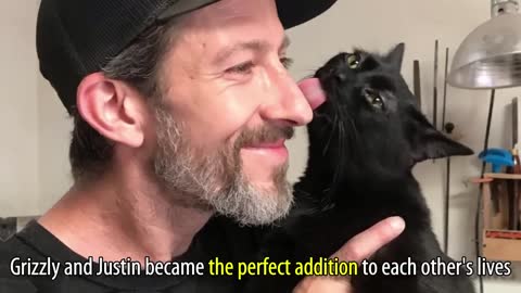 Stray Kitten Chooses a Man And Meows Loudly To Get His Attention