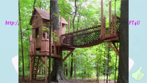 Amazing Creative Unique and Unusual Tree House Designs