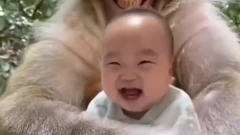 monkey and baby Viral video