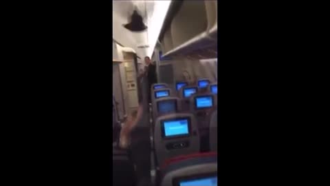 Pigeon Flying Around Cabin Causes Chaos On Passenger Jet
