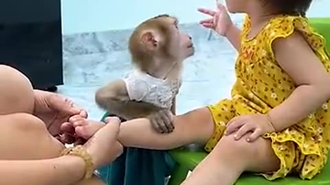 Monkey baby And Little Girl