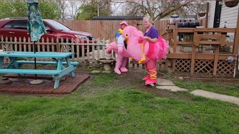 Fun with pink flamingos