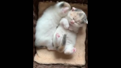 Funny act while sleeping