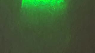 Wave function of a green laser