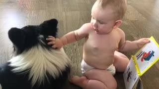 Baby cuddle with his corgi brother