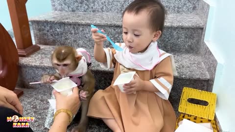 Monkey Kaka and Diem are afraid of the sound of airplanes