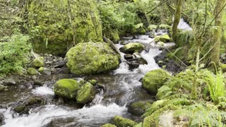 Calm & Peaceful Dry Creek – Columbia River Gorge – Oregon – 4K