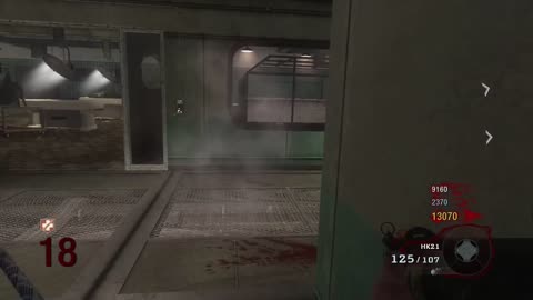 Entering Teleporter at Same Time Downs Me and Other Player (COD: Black Ops Zombies)