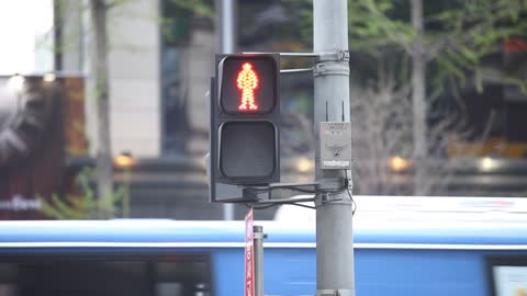 Traffic light flashing green