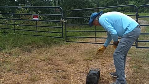 Huge Racoon in tiny trap set free. Relocating a Huge wild MAD racoon. 9-30