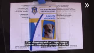 Lukas, el perro asistente de portería en un colegio de Floridablanca