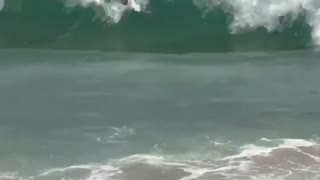 Guy swimming beach knocked by wave