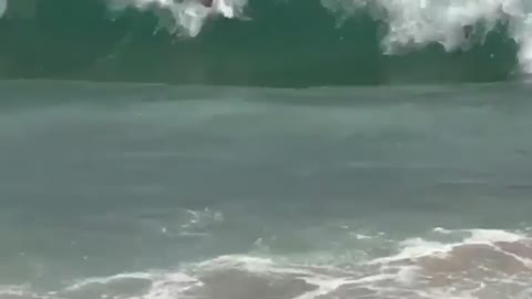 Guy swimming beach knocked by wave