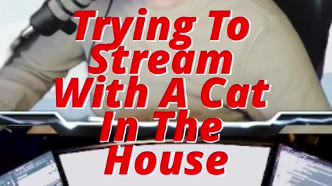 Trying To Stream With A Cat In The House