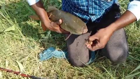 Hook Fiahing in Village River #fish #hook_fishing