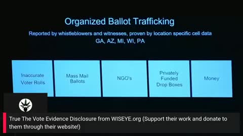 Trump Won Wisconsin: How They Cheated. Dirty Voter Rolls, Mass Mail In Ballots, NGO’s, Drop Boxes