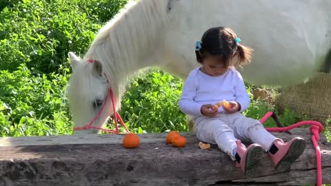 The cutest little toddler horse rider and her pony/horse