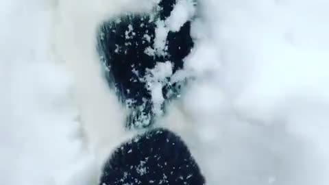 THE SNOWCAT