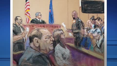 Weinstein Wanted Courtroom Sketch Artist to Give Him More Hair