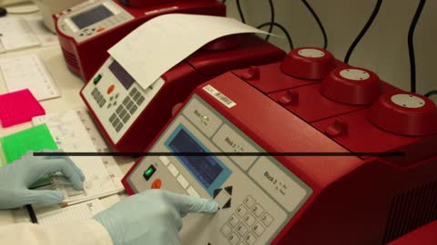 PCR Testing | covidexpresscare.com | +12244703884