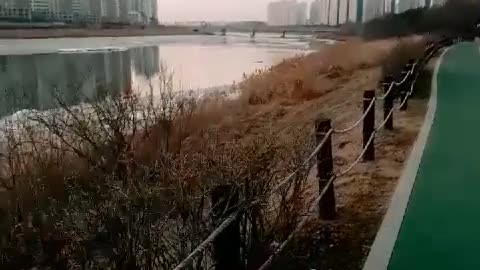 Scenery of a common promenade in Korea