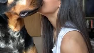 Whispering a Secret to your Rottweiler Challenge 🤣