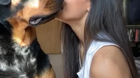 Whispering a Secret to your Rottweiler Challenge 🤣