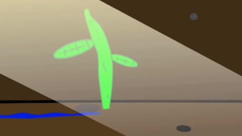 This Plant Started from NOTHING #Animation
