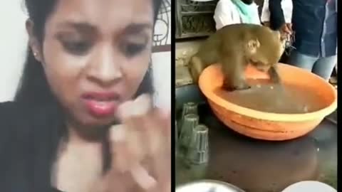 Monkey funny videos 🤣😄🤣🤣😄🤣🤣😄🤣🤣