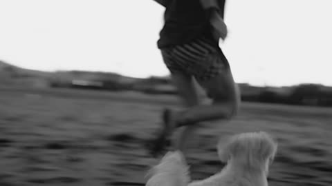 Puppy play with a girl enjoying at the beach