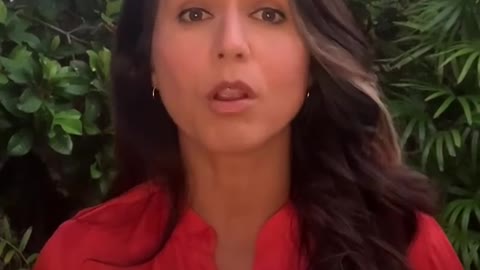 Tulsi Gabbard ~ FBI complicit in sex crimes of pedophile rapist