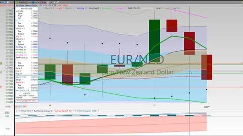 20201224 Thursday Afternoon Forex Swing Trading TC2000 Week In Review