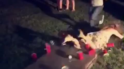 Girl in flower dress tries to dunk at beer pong table breaks