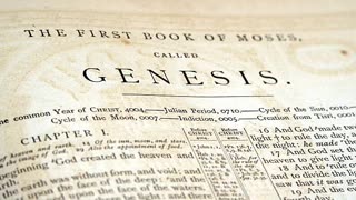 Genesis 25