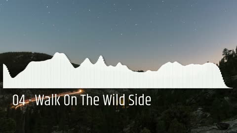 04 - Walk On The Wild Side