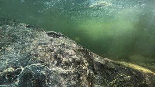 Gold prospecting Washington state, underwater sniping. Breaking open bedrock to expose the gold.