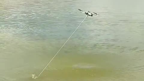 Fish 🐠 vs drone