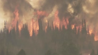 Wyoming Forest Fire