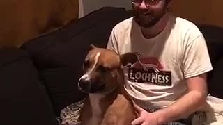 Dog does trust fall