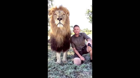 Lions and humans are best friends