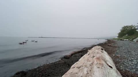 Meditation, Relaxing Music, Study Music ,Ocean Waves filmed in White Rock BC Canada