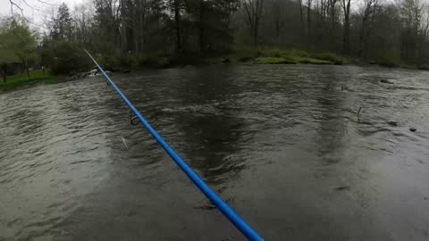 Great Rainy Day Trout Fishing Plus bonus Big Clarion River Browns