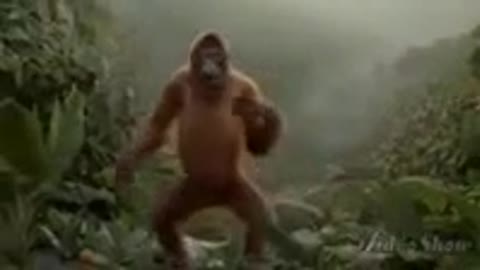 Monkey dance