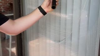 Traditional Window Cleaning