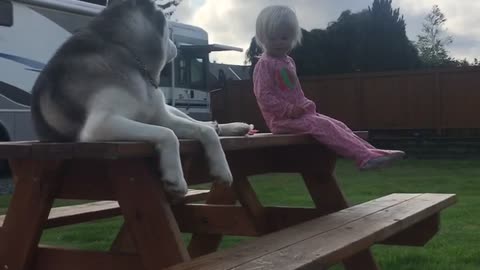Little Girl And Dog Share Inseparable Bond