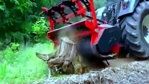 Amazing Tractor cutting tree - Amazing Machines #2