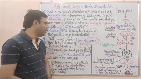 Anti Gout Drugs- -Part-01- - Basic Introduction and Pathophysiology of Gout -HINDI-